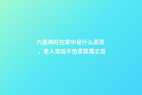 六畜再旺在家中是什么意思，老人常說不怕青龍萬丈高